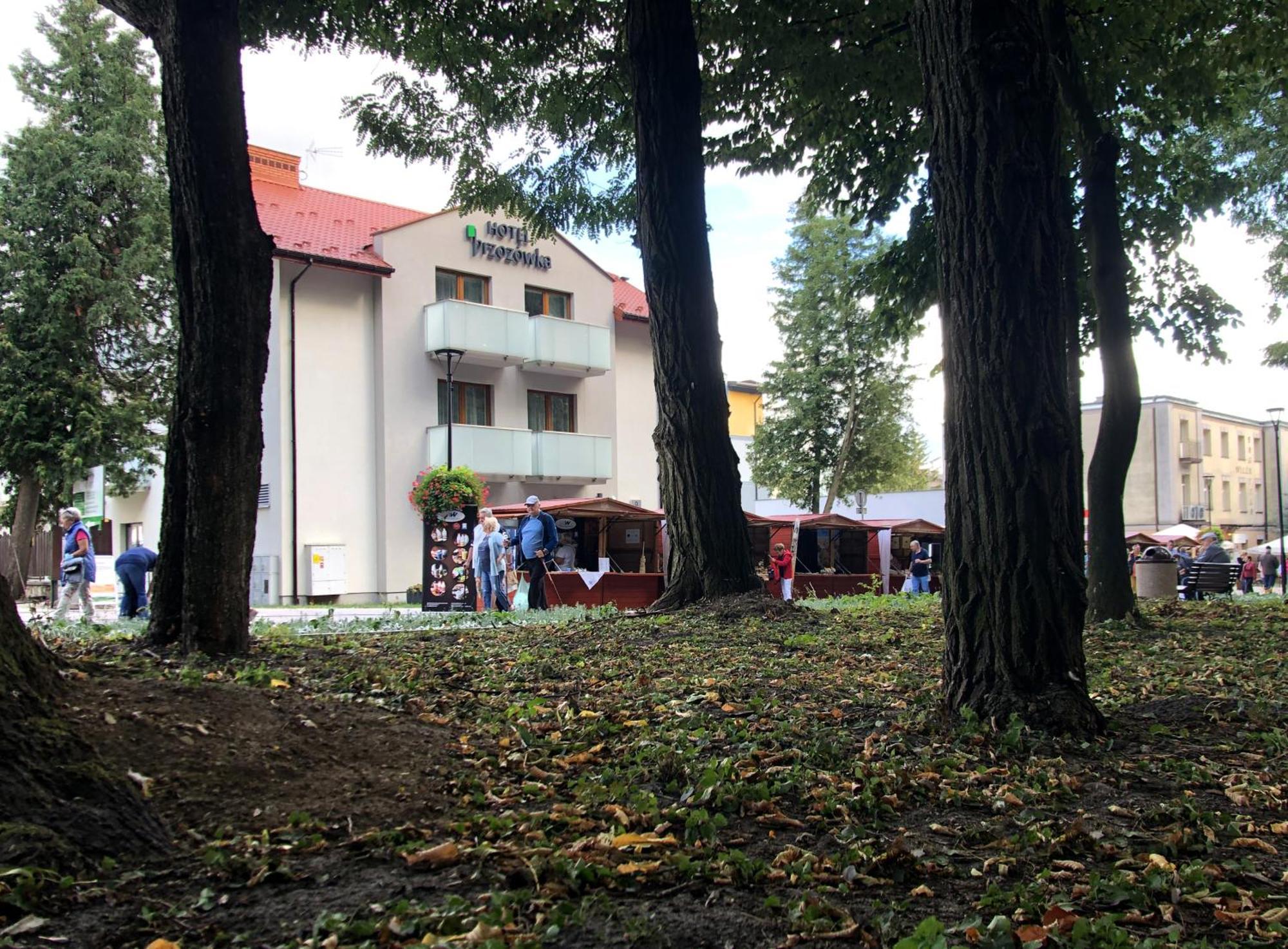 Hotel Brzozówka Busko-Zdrój Exterior foto